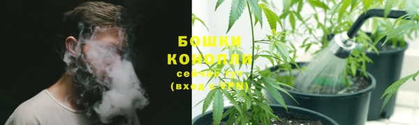 PSILOCYBIN Арсеньев