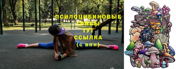 молекула духа Алексин