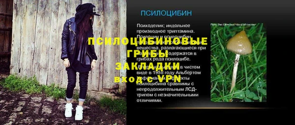 PSILOCYBIN Арсеньев